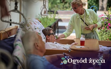 Zdjęcie główne wgrane przez użytkownika