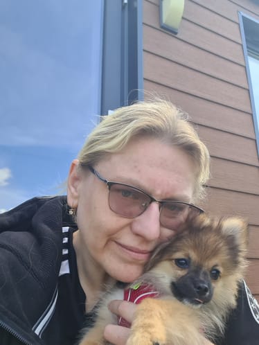 Main photo uploaded by the user