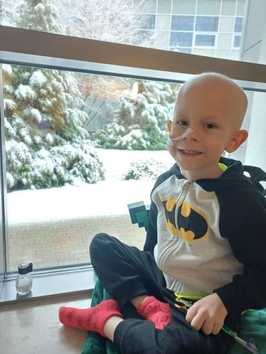 Zdjęcie główne wgrane przez użytkownika