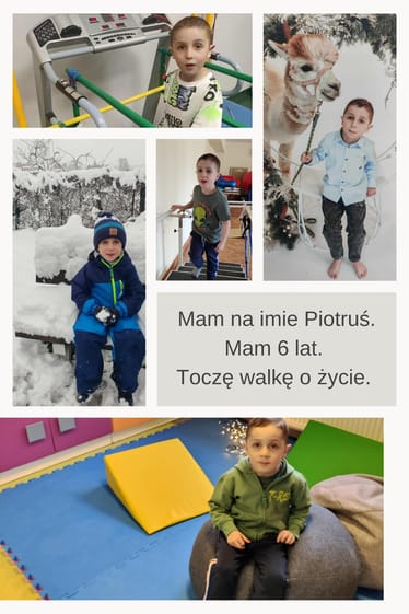 Main photo uploaded by the user