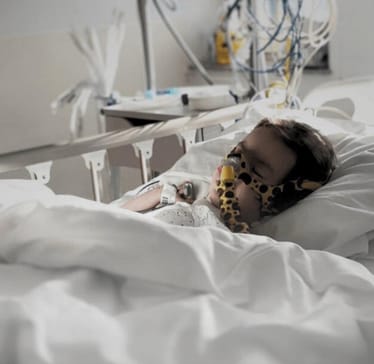 Zdjęcie główne wgrane przez użytkownika