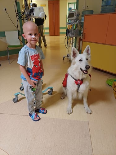 Zdjęcie główne wgrane przez użytkownika