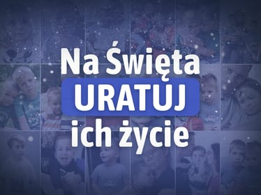 Zdjęcie główne wgrane przez użytkownika