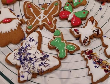 Zdjęcie główne wgrane przez użytkownika