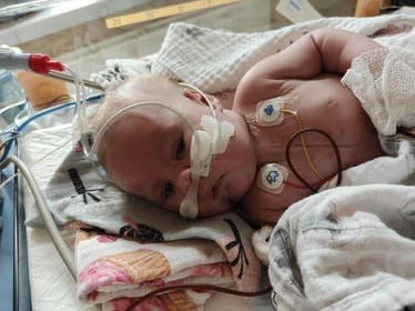 Zdjęcie główne wgrane przez użytkownika