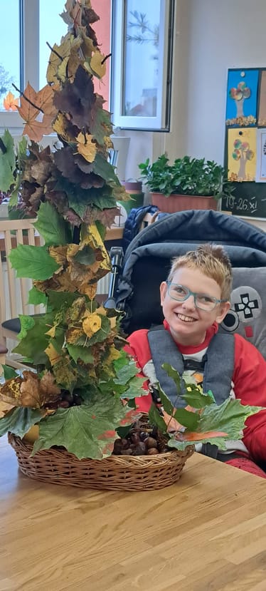 Main photo uploaded by the user