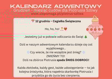 Zdjęcie główne wgrane przez użytkownika