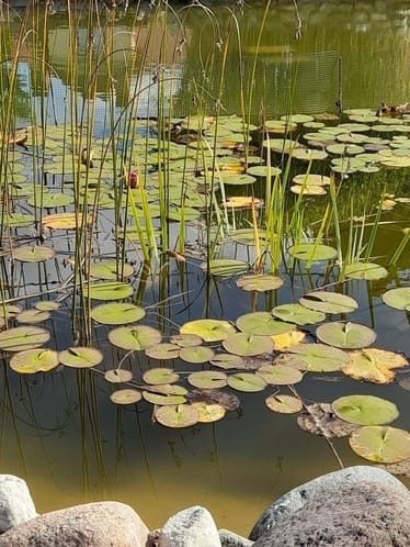 Main photo uploaded by the user