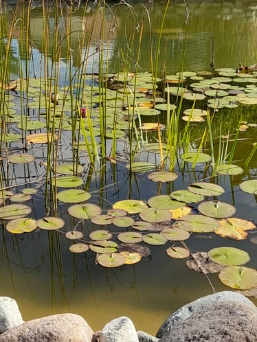 Main photo uploaded by the user