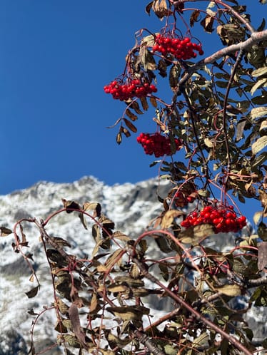 Zdjęcie główne wgrane przez użytkownika
