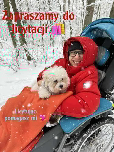 Zdjęcie główne wgrane przez użytkownika