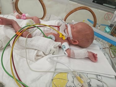 Zdjęcie główne wgrane przez użytkownika