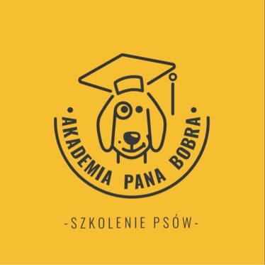 Zdjęcie główne wgrane przez użytkownika