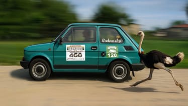 Zdjęcie główne wgrane przez użytkownika