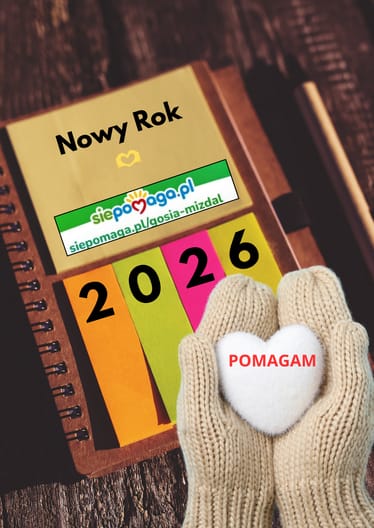 Main photo uploaded by the user