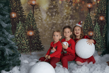 Main photo uploaded by the user