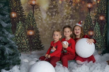 Main photo uploaded by the user