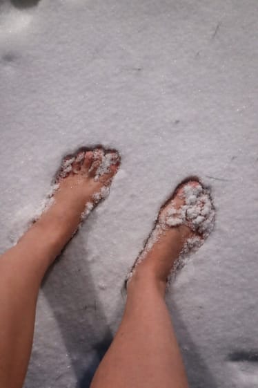 Zdjęcie główne wgrane przez użytkownika