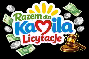 Main photo uploaded by the user