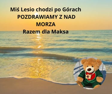 Zdjęcie główne wgrane przez użytkownika