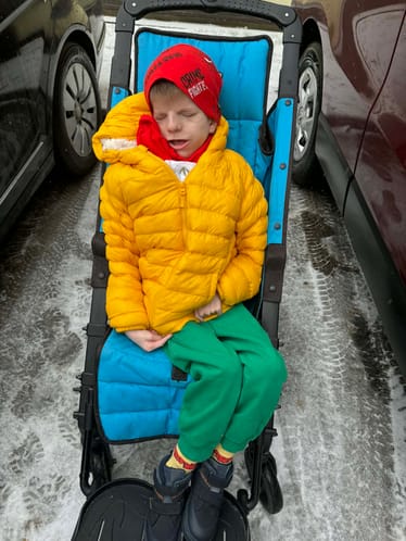 Zdjęcie główne wgrane przez użytkownika