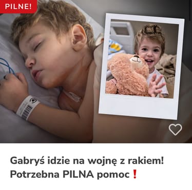 Main photo uploaded by the user