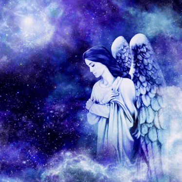 Main photo uploaded by the user