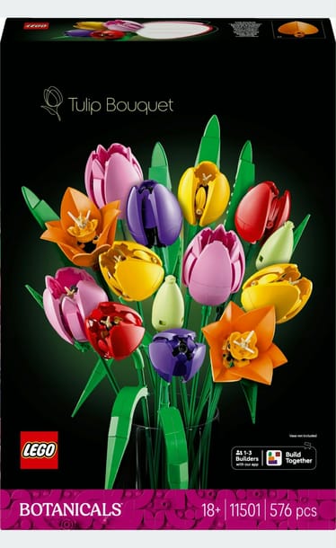 Main photo uploaded by the user