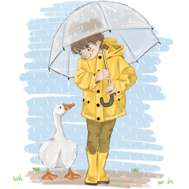 Zdjęcie główne wgrane przez użytkownika