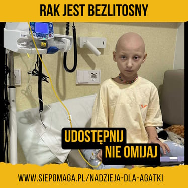 Zdjęcie główne wgrane przez użytkownika