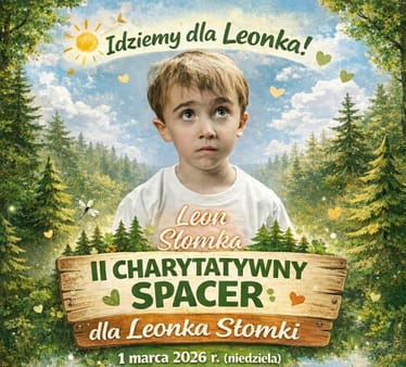 Main photo uploaded by the user