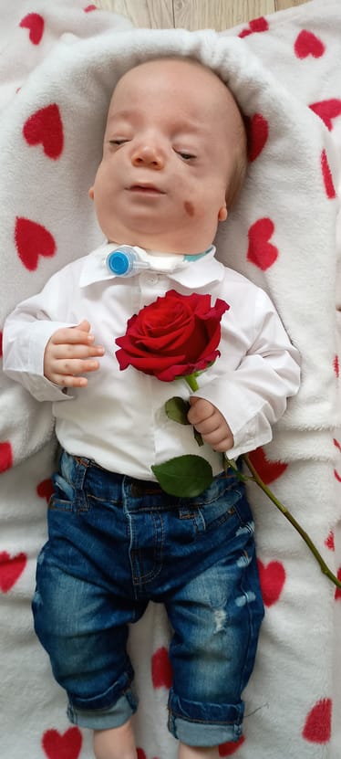 Zdjęcie główne wgrane przez użytkownika