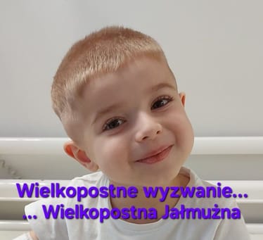 Zdjęcie główne wgrane przez użytkownika