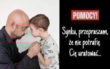 Zdjęcie główne wgrane przez użytkownika