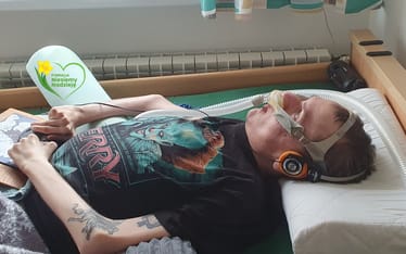 Zdjęcie główne wgrane przez użytkownika