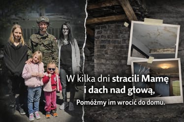 Zdjęcie główne wgrane przez użytkownika