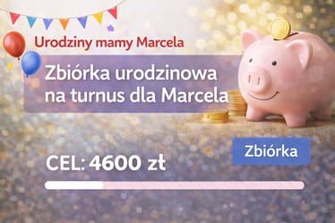 Main photo uploaded by the user