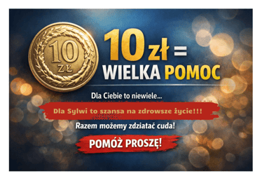 Zdjęcie główne wgrane przez użytkownika