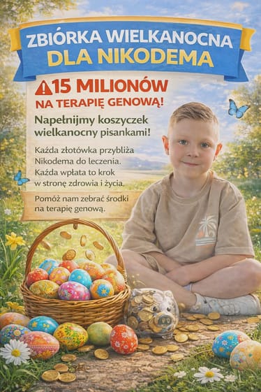 Zdjęcie główne wgrane przez użytkownika