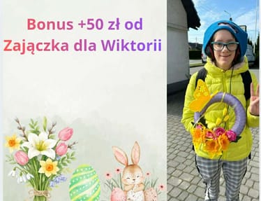 Main photo uploaded by the user