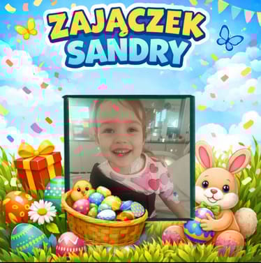 Main photo uploaded by the user