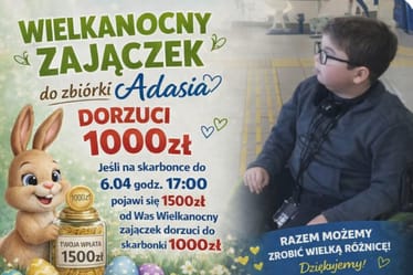 Main photo uploaded by the user