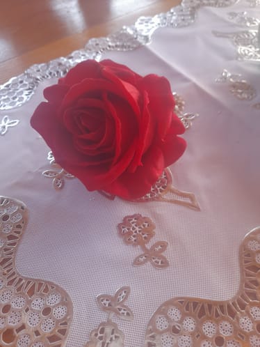 Zdjęcie główne wgrane przez użytkownika