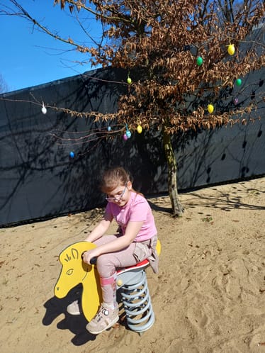 Main photo uploaded by the user