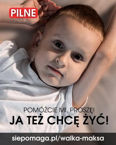 Zdjęcie główne wgrane przez użytkownika
