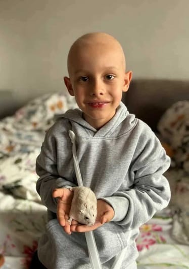 Zdjęcie główne wgrane przez użytkownika