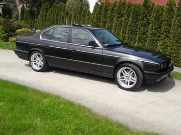 Zdjęcie główne wgrane przez użytkownika