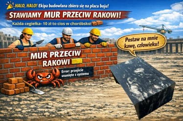 Zdjęcie główne wgrane przez użytkownika