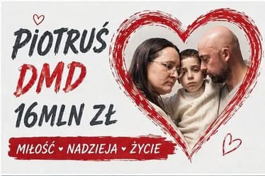Zdjęcie główne wgrane przez użytkownika