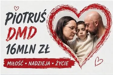 Zdjęcie główne wgrane przez użytkownika